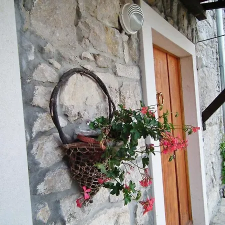 Ola 309 Lupoglav (Istria)